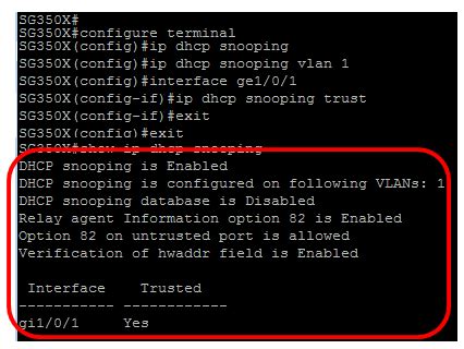 dhcp snooping cisco command